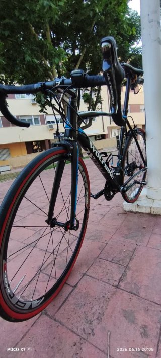Bicicleta de carretera Wolfbike + rodillo
