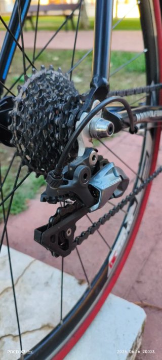 Bicicleta de carretera Wolfbike + rodillo