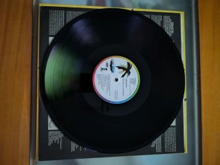 Anthrax State of Euphoria Vinilo