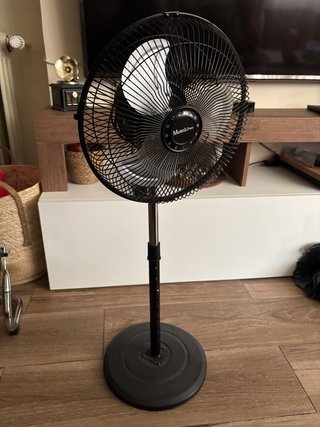 Ventilador de pie Maxell Negro/Plateado