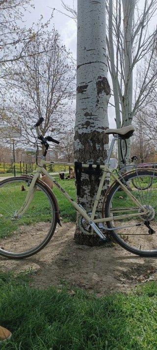 Bicicleta de paseo Village Genial para gente alta