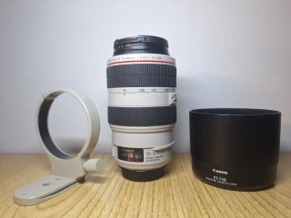 CANON EF 70-300 F:4-5.6 L IS USM