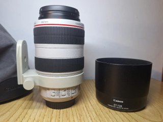 CANON EF 70-300 F:4-5.6 L IS USM