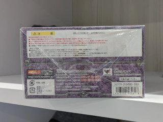 Camus de Acuario Surplice Myth Cloth Saint Seiya