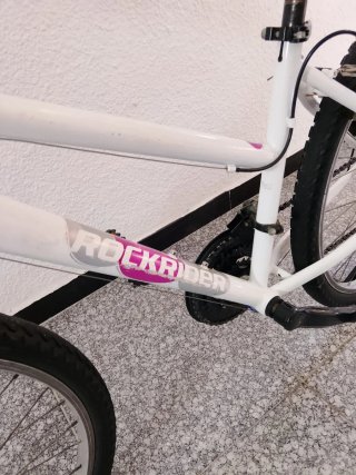 Bicicleta