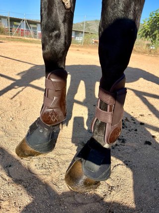 Protectores de equitación talla M