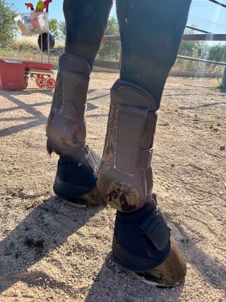 Protectores de equitación talla M
