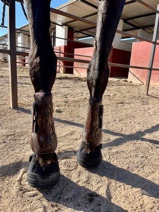 Protectores de equitación talla M