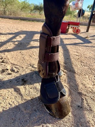 Protectores de equitación talla M