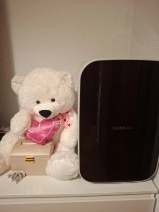 Mini Nevera Cecotec