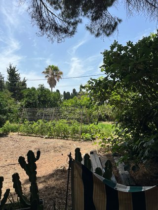 Terreno en venta pinar de. Coig