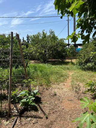 Terreno en venta pinar de. Coig