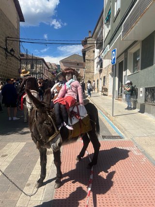Gredos Abantera