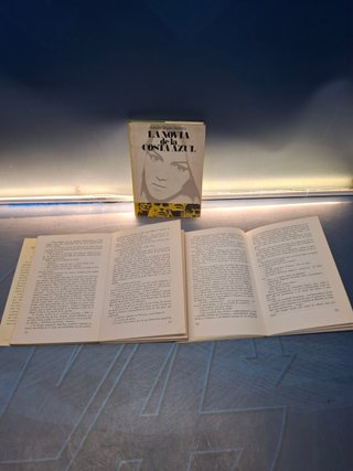 Lote, 3 Libros Concha linares becerra
