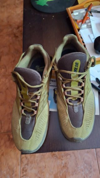 Zapatillas Nike SB Bertebrae