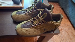 Zapatillas Nike SB Bertebrae