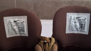 Zapatillas Nike SB Bertebrae
