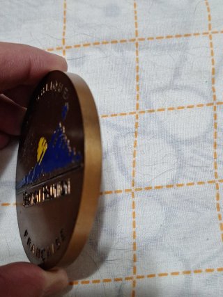 Medalla Cobre Región Reunión Francesa