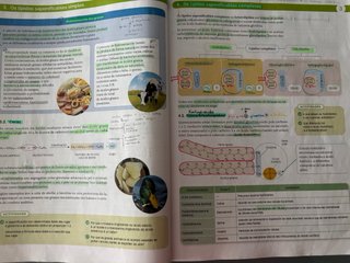 Libro de texto