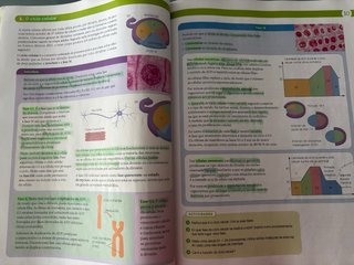 Libro de texto