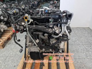 MOTOR COMPLETO 204DTD Ref:919836