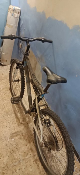 Bicicleta plegable plateada