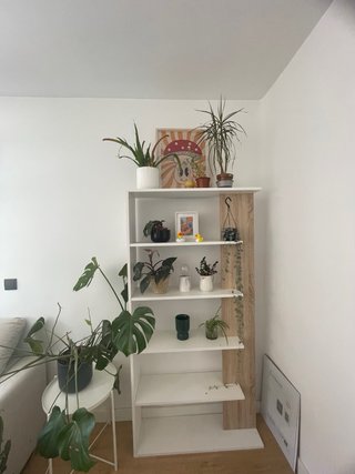 Estantería blanca y madera