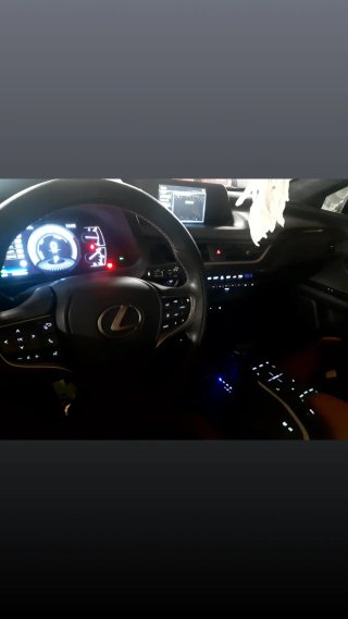 Lexus UX 2019