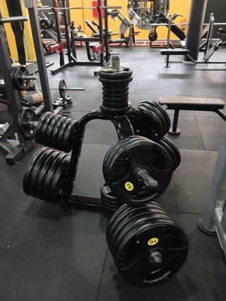 Soporte Profesional Árbol + Lote Discos