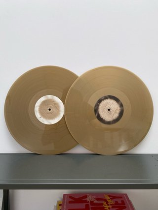 Vinilo Deftones B-Sides & Rarities