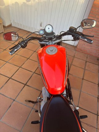 Harley Davidson XR 1200 inyección etiqueta C