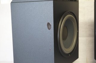 Altavoces Bose 301 Serie IV Negros