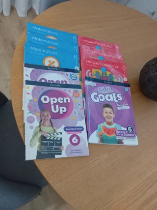 Lote de libros de 6° de primaria