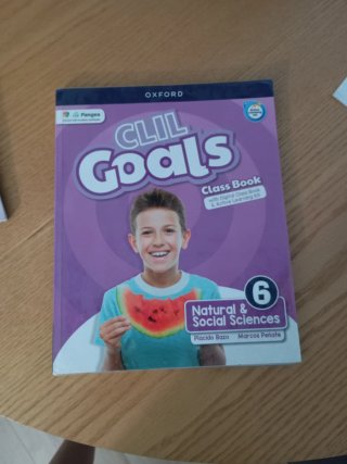 Lote de libros de 6° de primaria