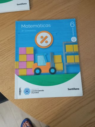 Lote de libros de 6° de primaria