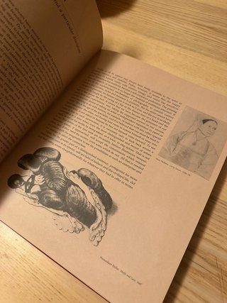 Fashion Drawing in Vogue