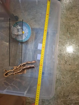 Jaula para hámster negra y transparente