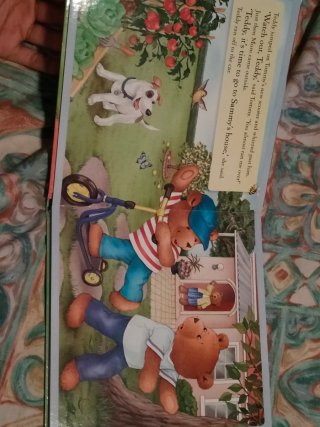 Libro infantil - Teddy Misbehaves