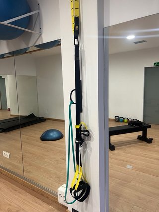 TRX Entrenamiento en Suspensión Profesional