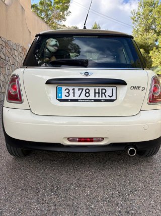 MINI OneD