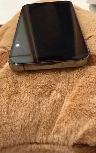 iPhone 13 Pro Max 256 GB - Excelente estado físico