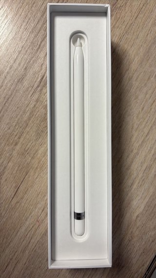 Apple Pencil 1ª Gen