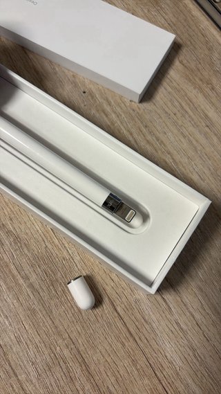 Apple Pencil 1ª Gen