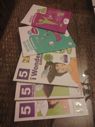 Libros de texto de quinto de Primaria