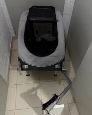 Remolque para Bicicleta Perro