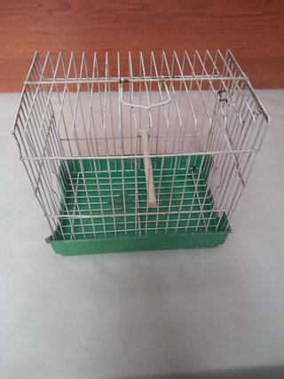 Jaulas para pájaros de varios tamaños y formas
