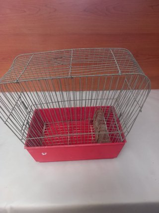 Jaulas para pájaros de varios tamaños y formas