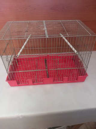 Jaulas para pájaros de varios tamaños y formas