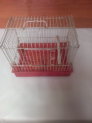Jaulas para pájaros de varios tamaños y formas