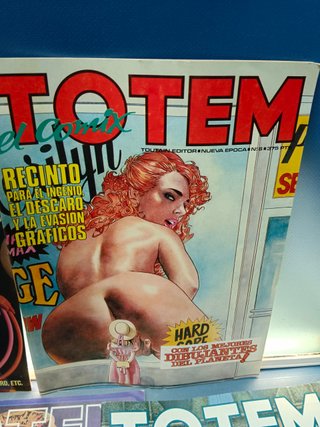 lote de 7 cómics, TOTEM EL COMIX NUEVA ÉPOCA Nº 3,5,6, 8 ,12,13 y 20 - TOUTAIN